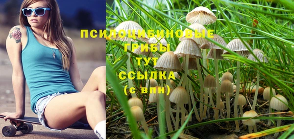 скорость Покачи