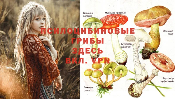 скорость Покачи