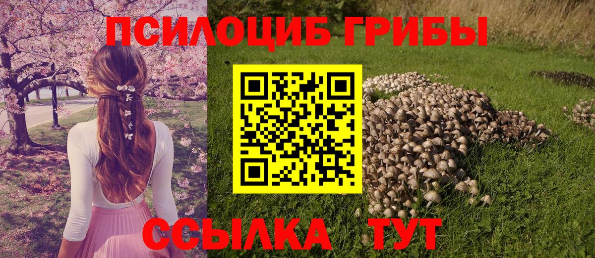 Галлюциногенные грибы Cubensis  Бахчисарай 