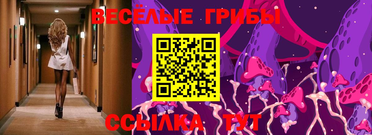 Бахчисарай  купить наркотик  Вход с VPN  Псилоцибиновые грибы Psilocybine cubensis 