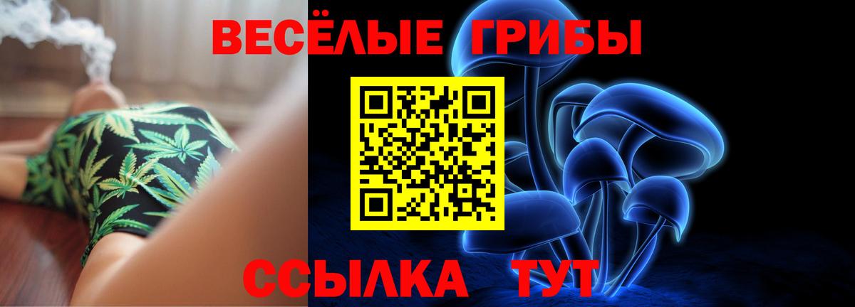 Псилоцибиновые грибы GOLDEN TEACHER Бахчисарай